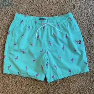 Hollister swimming trunks!